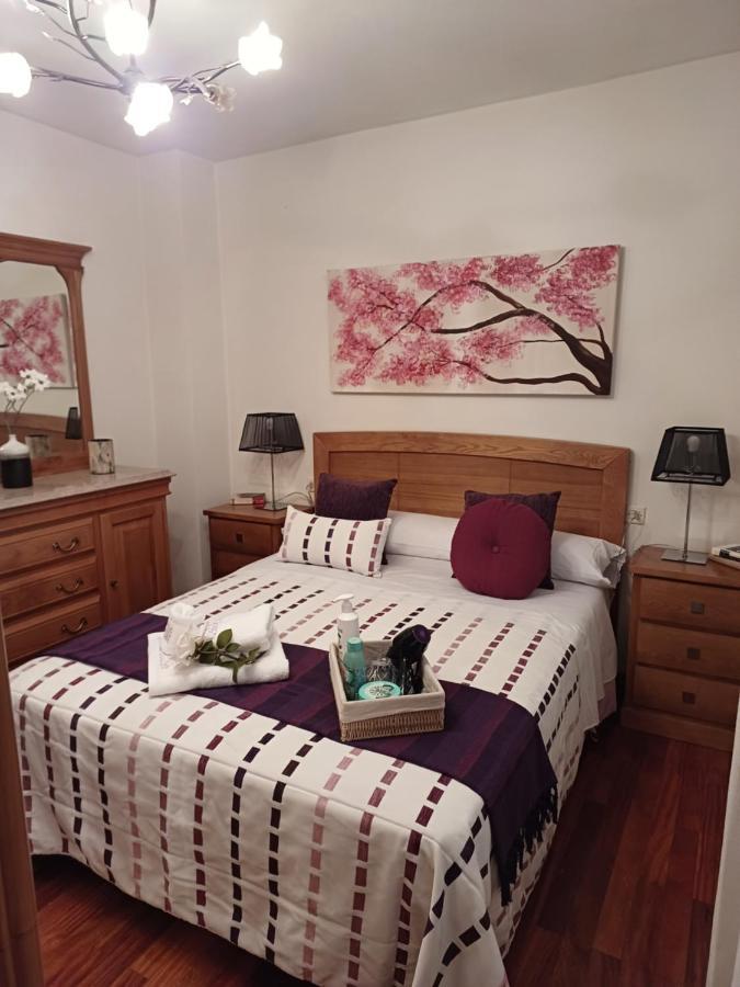 Apartamento Penedo, Camino Portugus-Con Plaza De Garaje Gratis Сантьяго-де-Компостела Екстер'єр фото